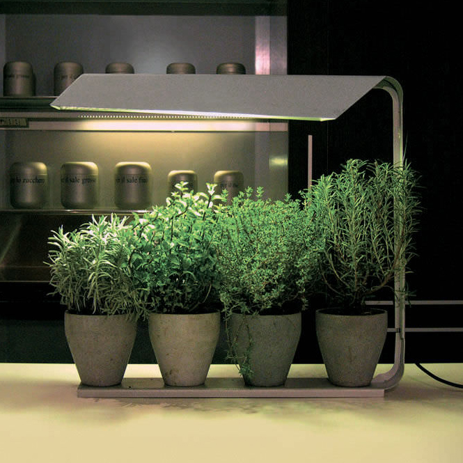 Настольный светильник Knikerboker Coltiva