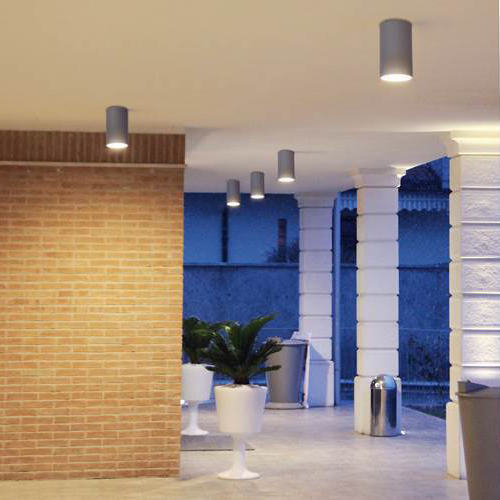 Потолочный светильник Castaldi Lighting DUETTO D20 C/T2