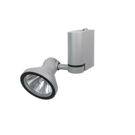 Настенный светильник Castaldi Lighting D55 FLEX/T1