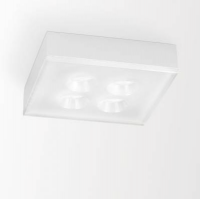 Настенно-потолочный светильник Delta Light DOT.COM S 4 NW