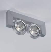 Настенно-потолочный светильник Delta Light RANDOM 211 T50