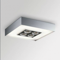 Настенно-потолочный светильник Delta Light UNDERCOVER 5511