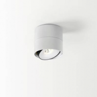 Настенно-потолочный светильник Delta Light LINK 1 REO 3033