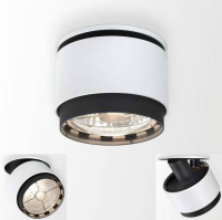 Встраиваемый в потолок светильник Delta Light YOU-TURN HIT WFL55