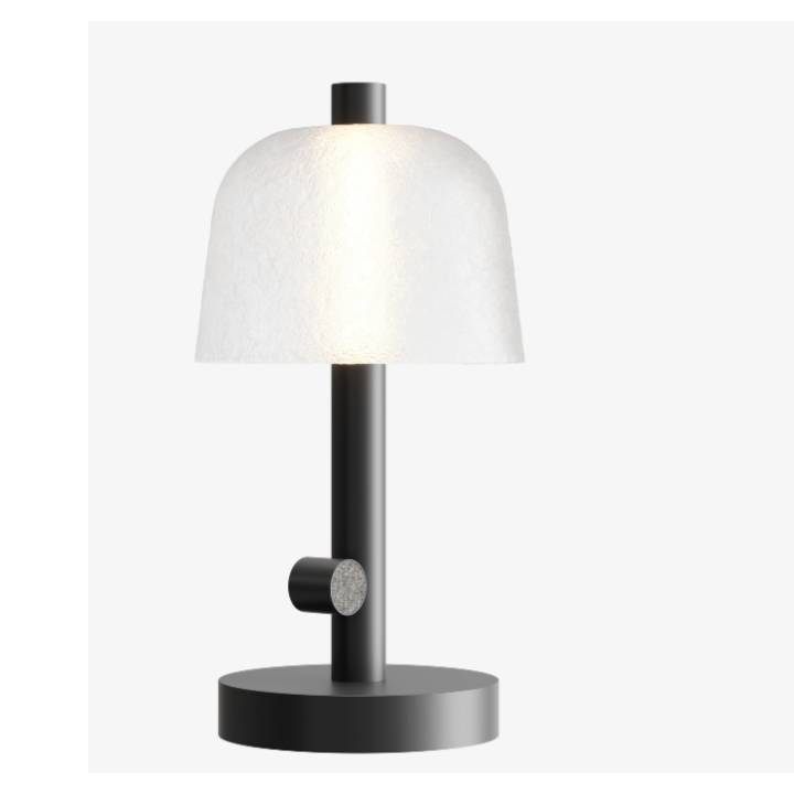 Настольный светильник Lasvit Symbioosa