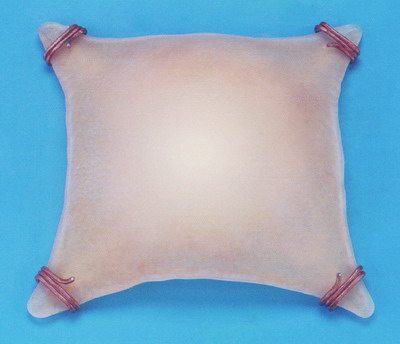 Настенно-потолочный светильник Leds C4 Cairo 81507038401