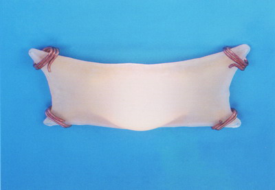 Настенно-потолочный светильник Leds C4 Cairo 81507038404