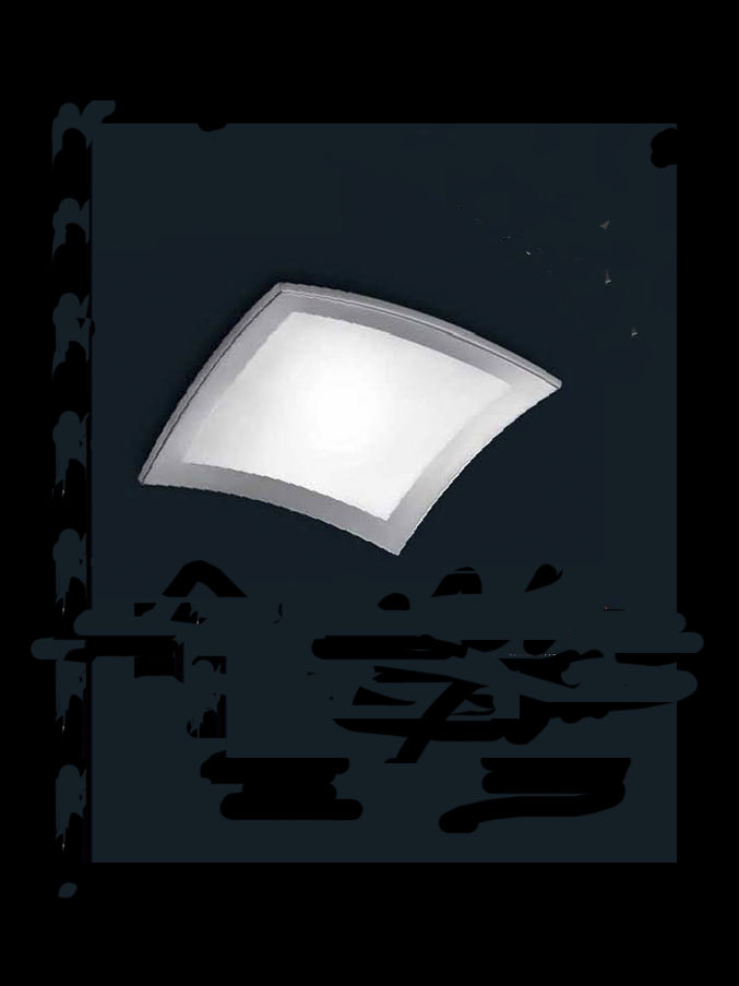 Потолочный светильник Leds C4 Basic 815615101