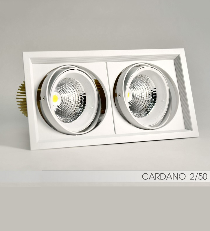 Встраиваемый в потолок светильник FireLED FireLED FLED-DL 002-50x2 (КАРДАНО-50х2)