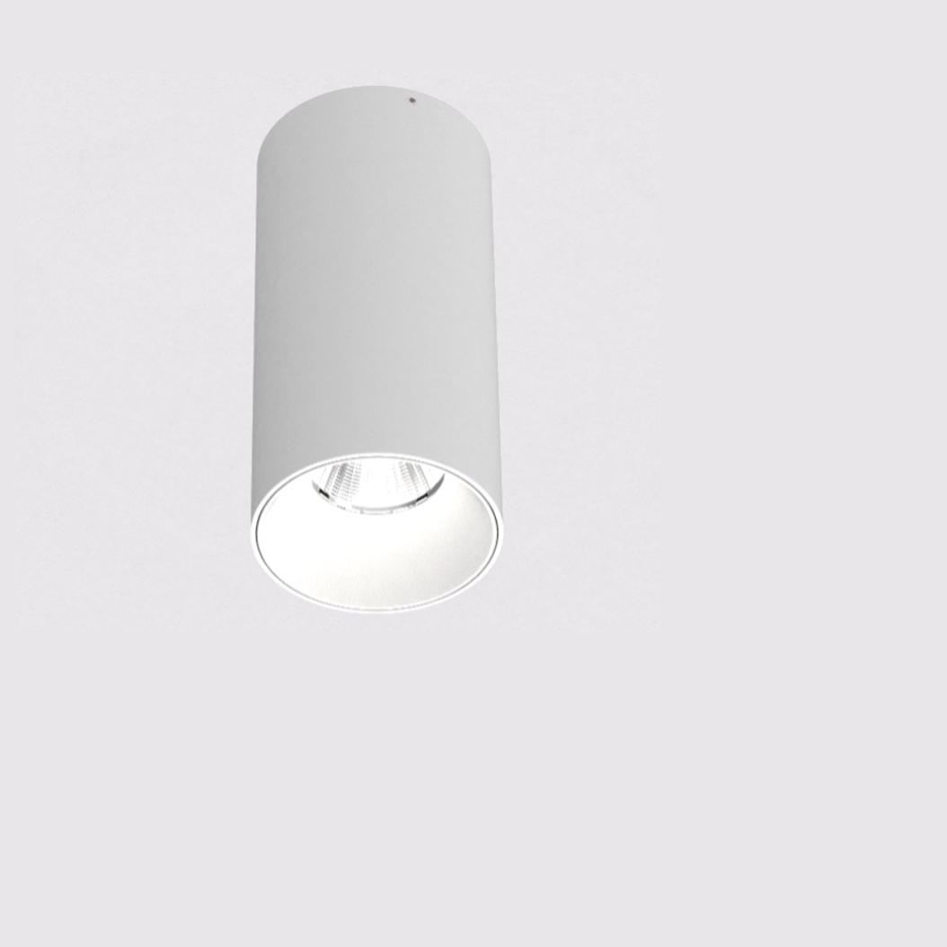 Потолочный светильник Prolicht INVADER SHORT
