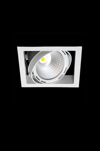 Встраиваемый в потолок светильник Lival First Single