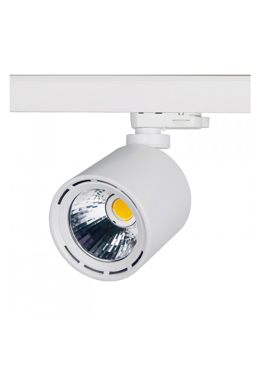 Трековый светодиодный светильник Lival Casa AC