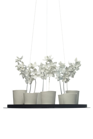 Подвесной светильник Jeremy Cole Cymbidium Chandelier