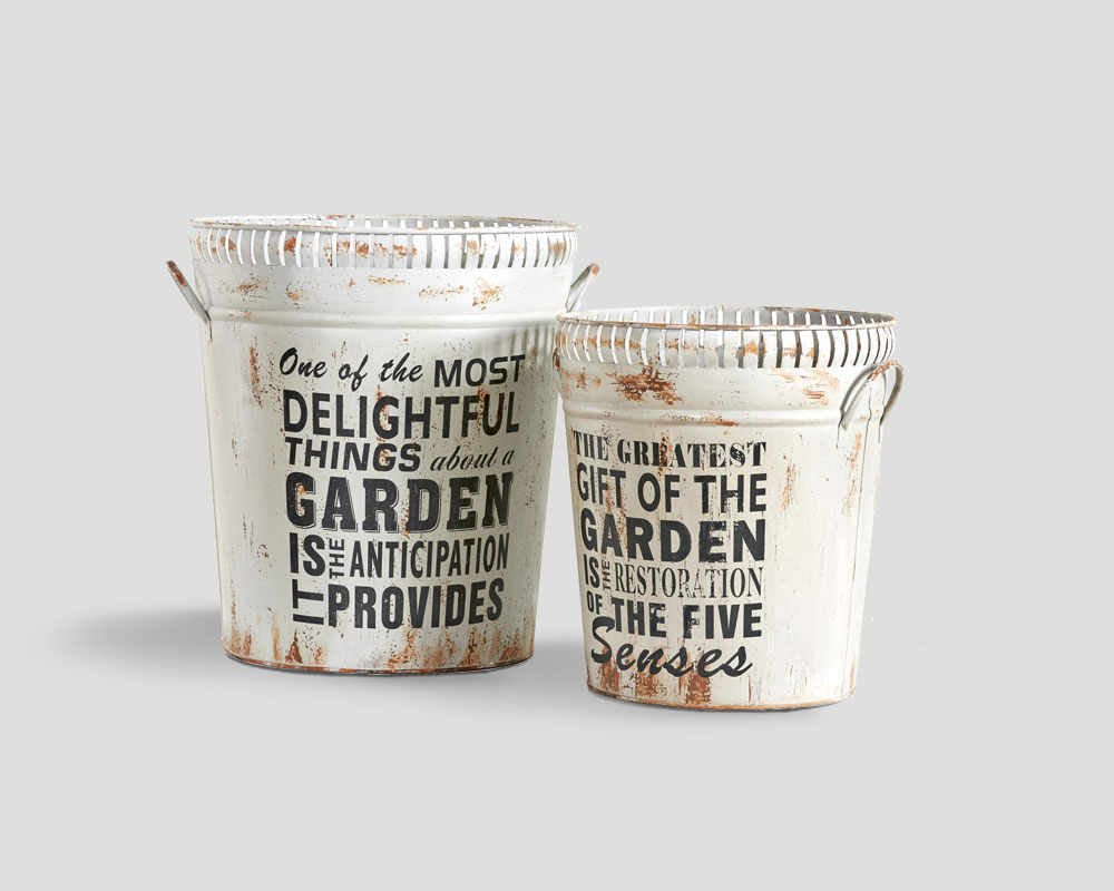 Contenitori DB003066