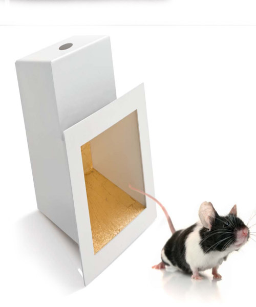 Встраиваемый в стену светильник Facon de Venise FV 10/45°