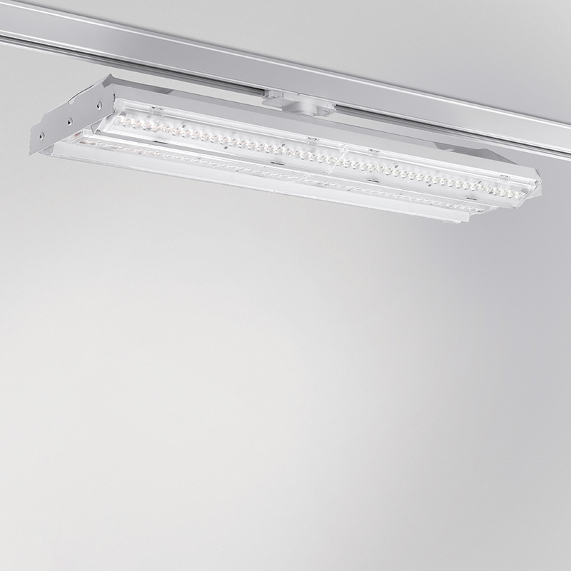 Quattrobi LINE wings