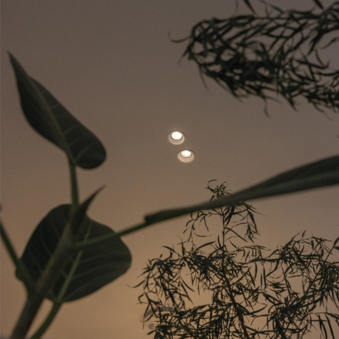 Axo Light Amy Adjustable downlight