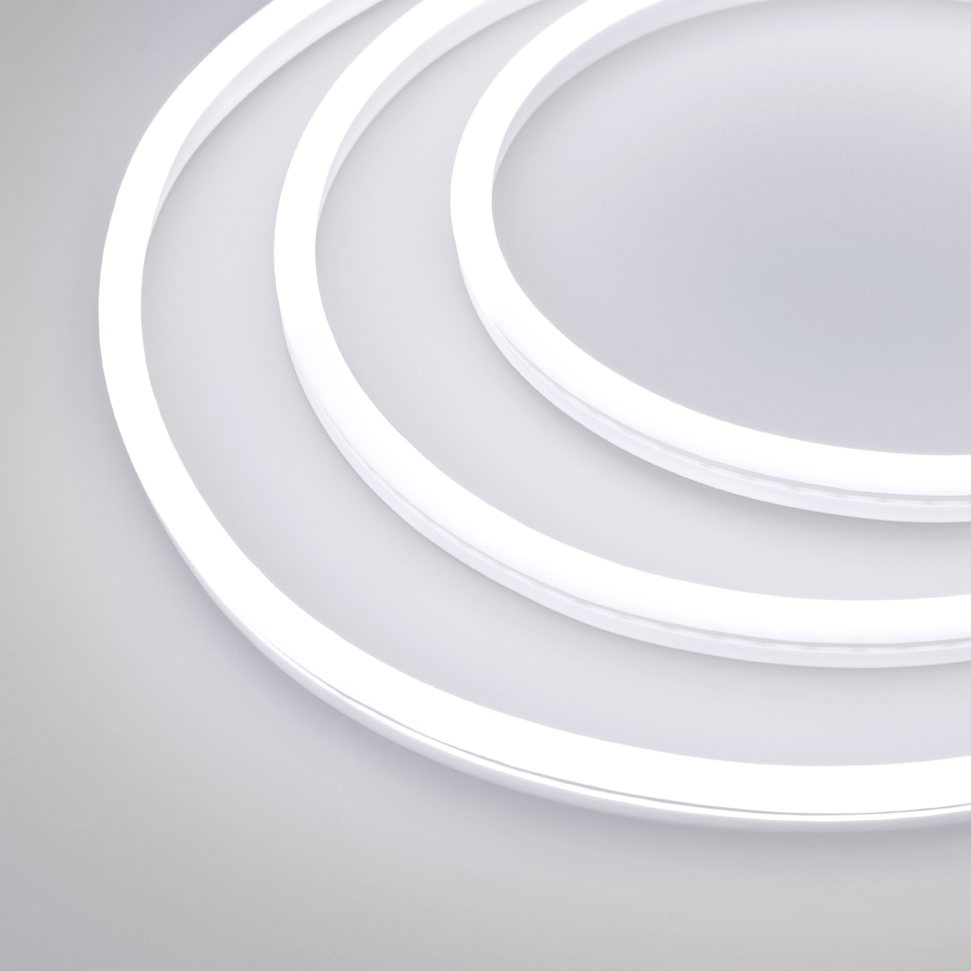 Образец Гибкий неон GALAXY-1608-5000CFS-2835-100 12V White 0.5M (16x8mm, 12W, IP67) (Arlight, 12 Вт/м, IP67) 030978