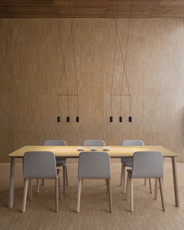 Vibia Wireflow lineal