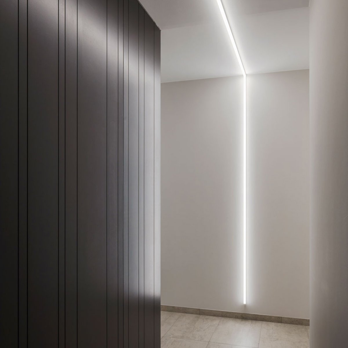 Delta Light FEMTOLINE