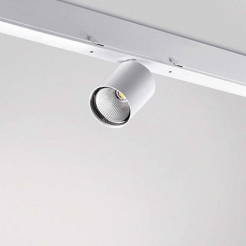 Quattrobi LINE evolution 02