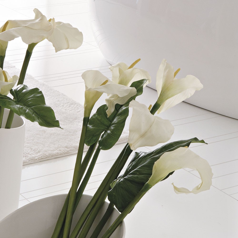 Adriani & Rossi Calla